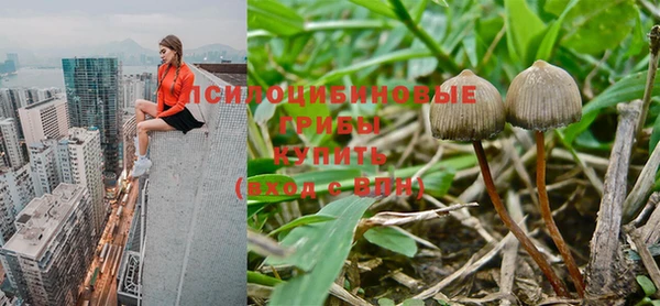 каннабис Магадан
