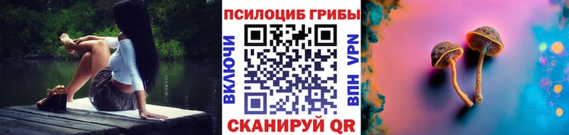 Галлюциногенные грибы Psilocybine cubensis  хочу наркоту  Партизанск 